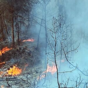 3 ilde orman yangini ekipler harekete gecti taZuU6JL