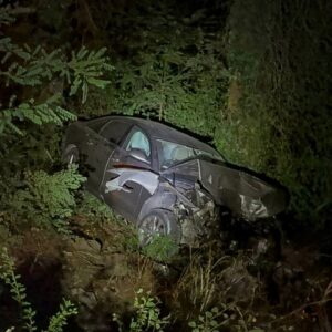 carpisip ormandaki ucumuna savruldular BZblDzCA