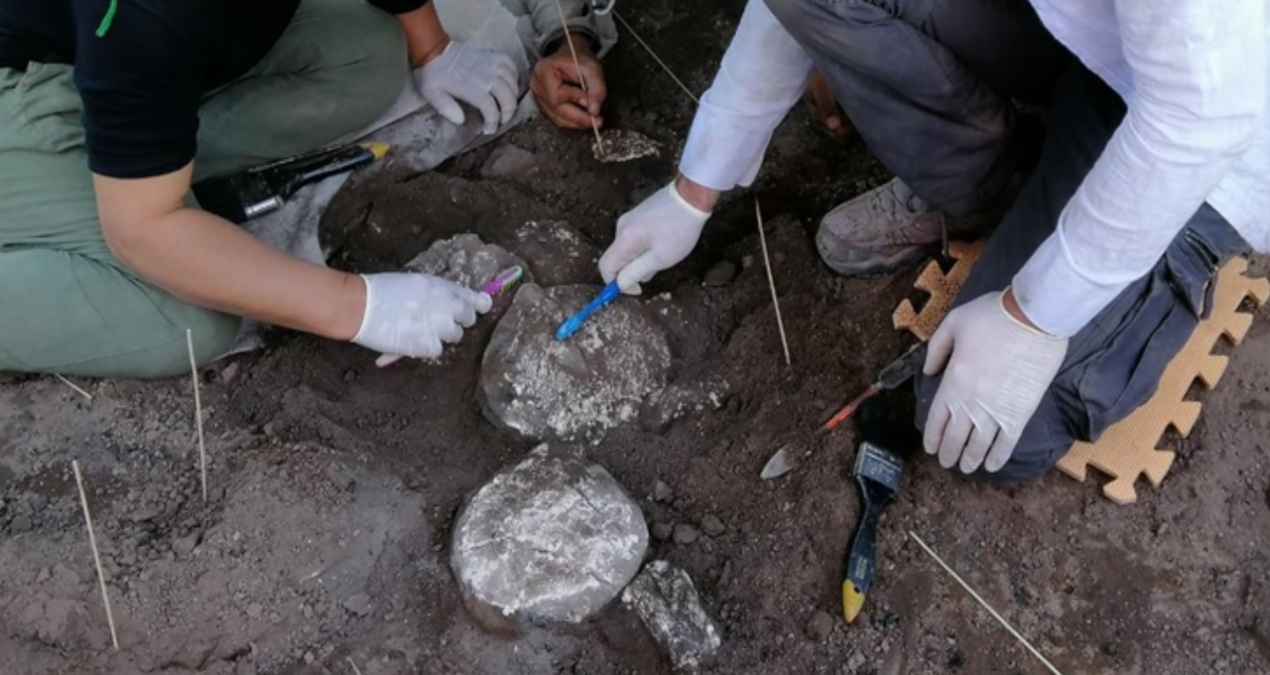 erzurumda kazi yapilan alanda insan kemikleri bulundu 8bNMOtEA