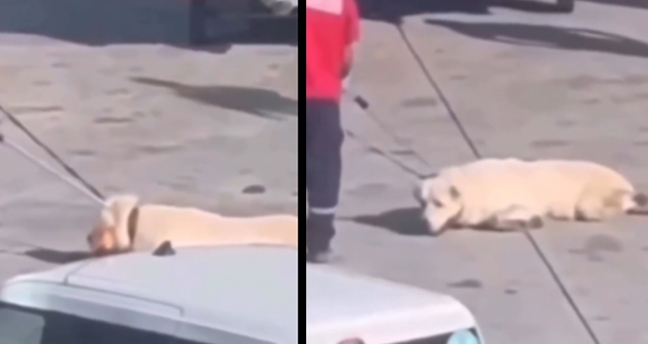 havalimanindaki skandal goruntu sonrasi igadanaciklama C9pJL3hV