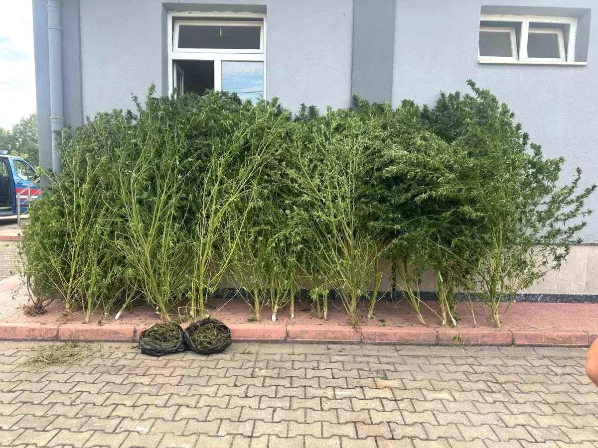 inegolde uyusturucu operasyonu l8T9zDYO