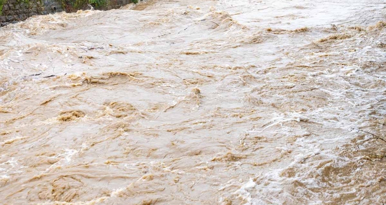 korkunc ve endise verici diyerek paylastilar 3 milyondan fazla insani sel vuracak sicakliga bagli olumleri 444 artacak 6WRdshC7