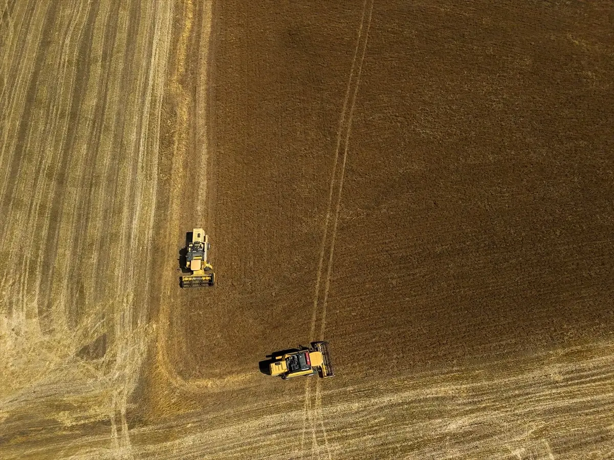 usakta corek otu uretimi yuzde 335 artti Y14GD1N4