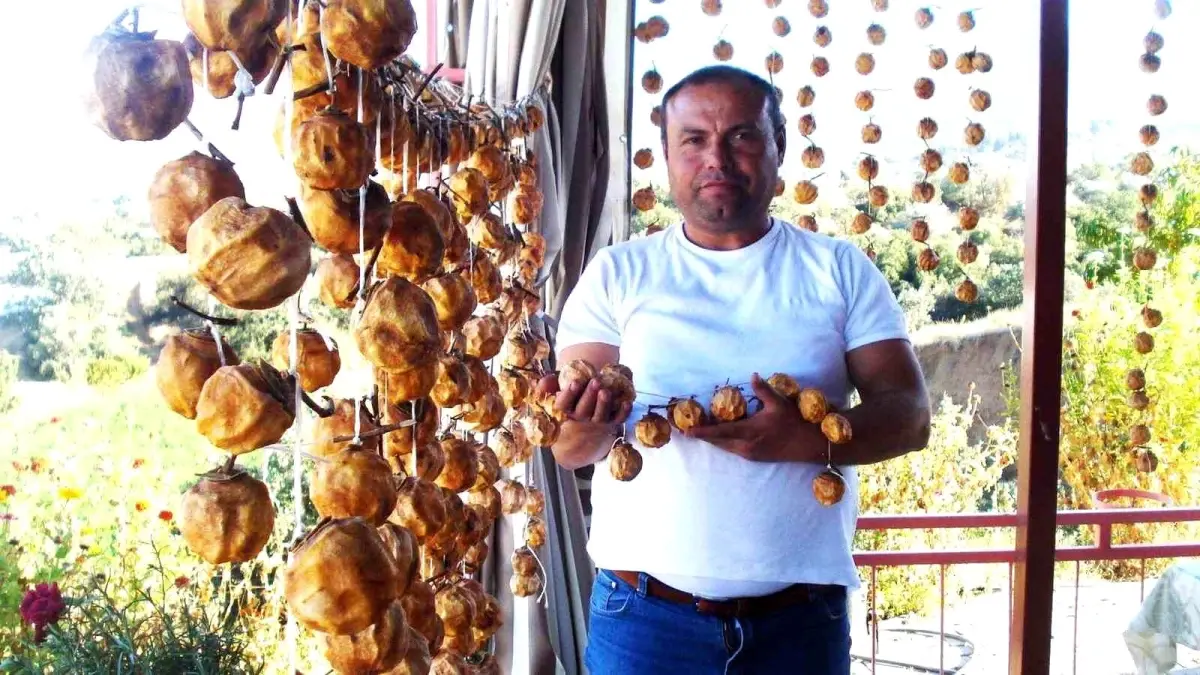 cennet elmasi kurutma gelenegi basladi cOzOdh5a.jpg