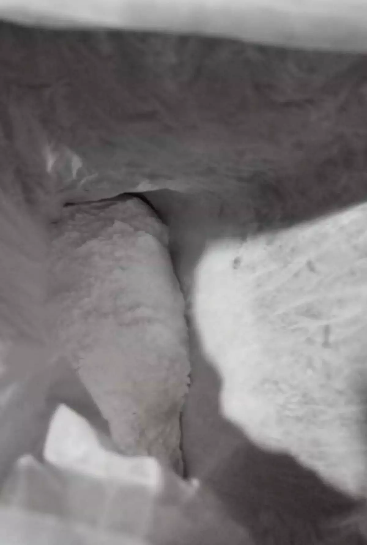 uyusturucu hap ureticisi 4 kisi tutuklandi 5tIN7csg.jpg