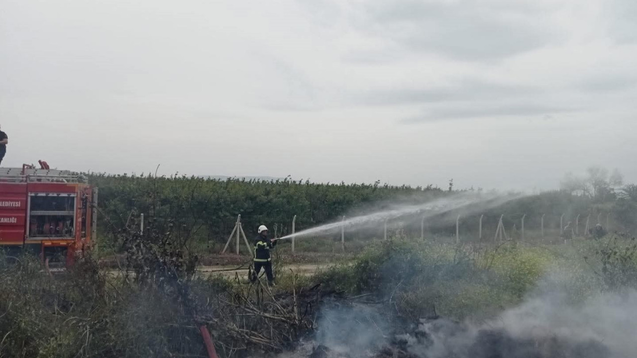 Hatay’da Zeytinlikte Meydana Gelen Yangın: Ağaçlar Zarar Gördü