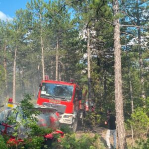 Tavşanlı’da Yıldırım Yangın Çıkardı